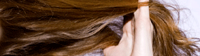 cabello